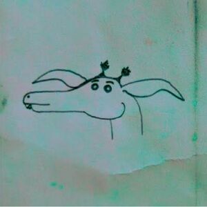 Meet your Posher, Tom